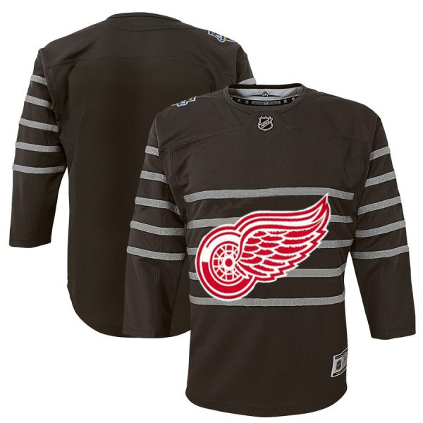 Elegant Youth Detroit Red Wings Gray 2020 NHL All Star Game Premier Jersey for a memorable match day